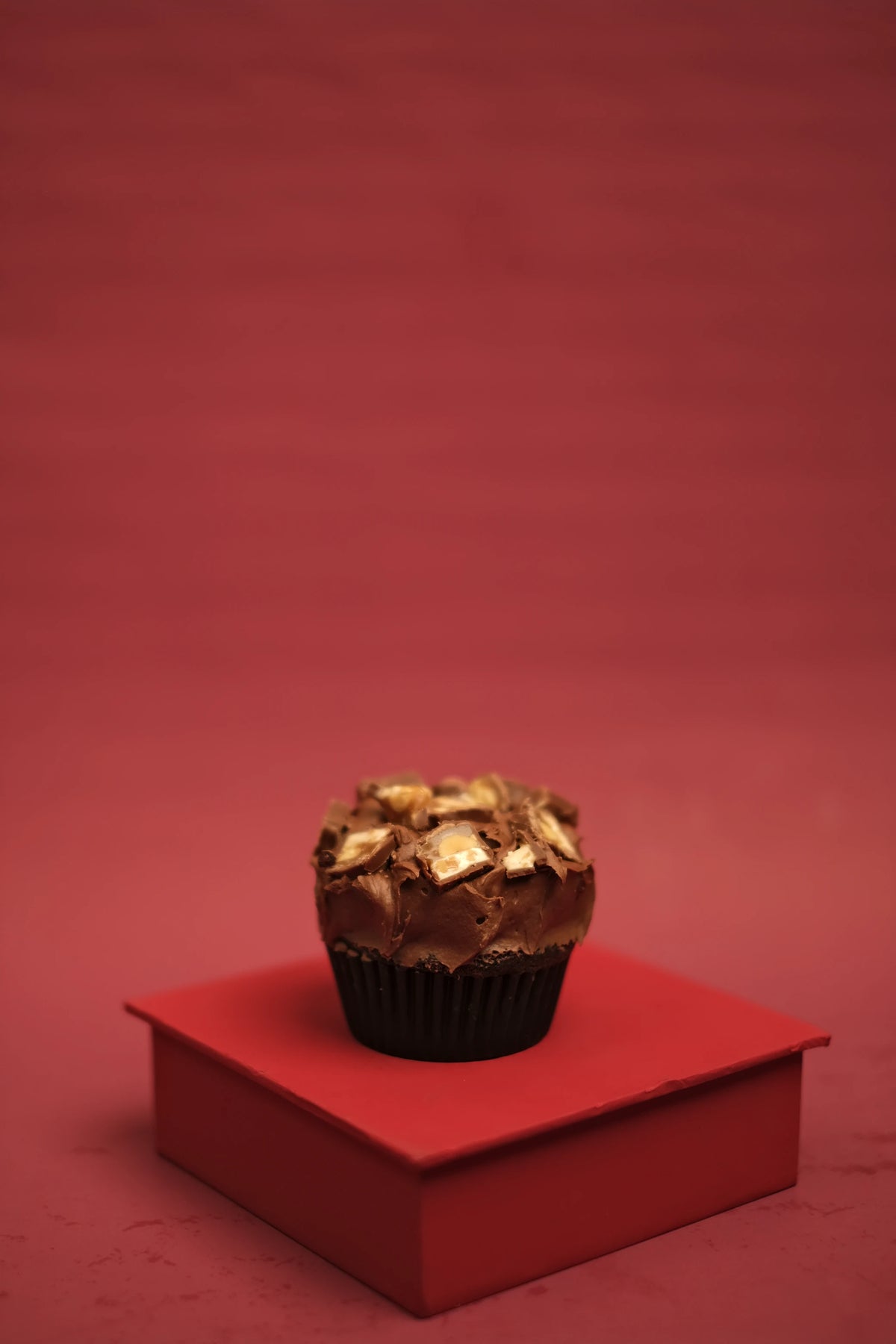 Chocolate Salted Fudge Cupcake